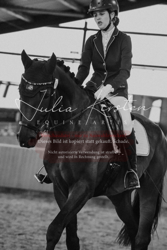 DSC_7639 | Pferde- und Turnierfotografie in Westsachsen. Pferdeportraits, Auftragszeichnungen und intuitive Kunst.