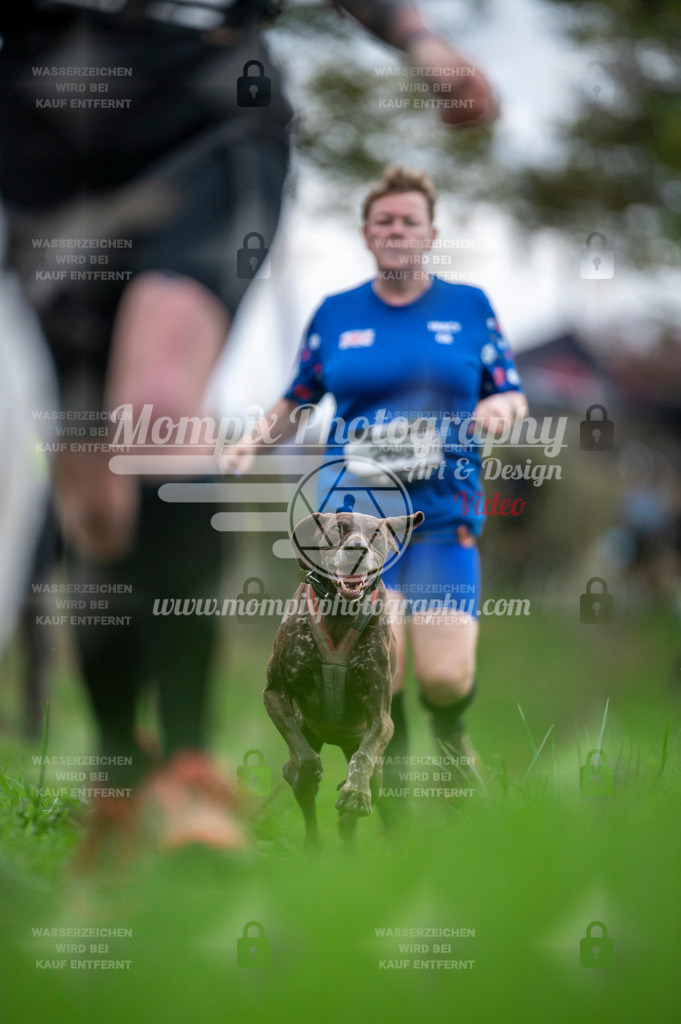 TSB_2023_E8_Canicross-12 | PayLife
