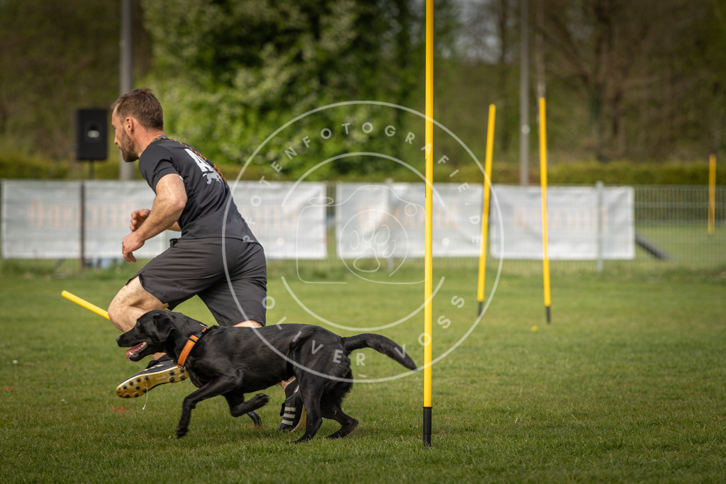 Pfotenfotografie_DV3A5568 | Hundefotografie, Tierfotograf, Pfotenfotografie, Fotoshooting Hund, Hunde Portrait, Hundesport, Hundeportraits, Heideshooting, Hunde, Sportfotograf, Hundefotograf, Turnierhundsport, THS,  - Realisiert mit Pictrs.com