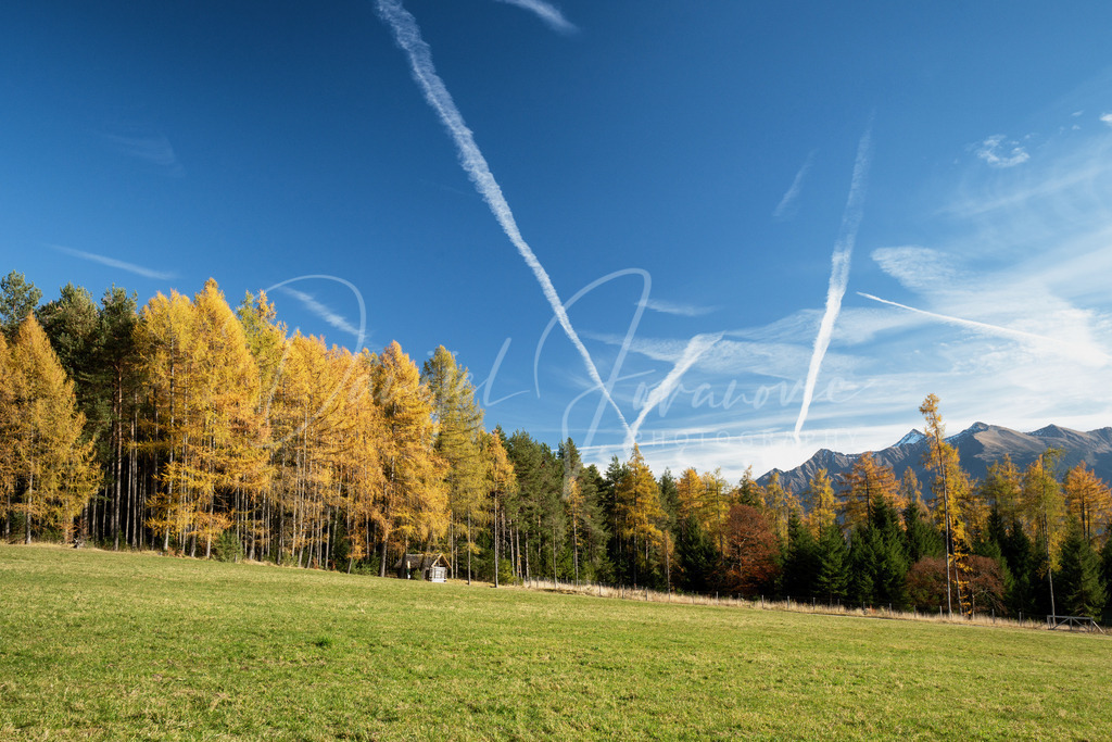 Mieming | Herbst am Mieminger Plateau