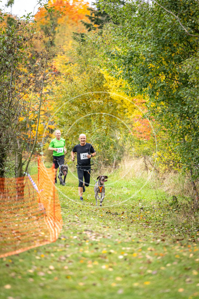 Pfotenfotografie_DV3A1977 | Hundefotografie, Tierfotograf, Pfotenfotografie, Fotoshooting Hund, Hunde Portrait, Hundesport, Hundeportraits, Heideshooting, Hunde, Sportfotograf, Hundefotograf, Turnierhundsport, THS,  - Realisiert mit Pictrs.com