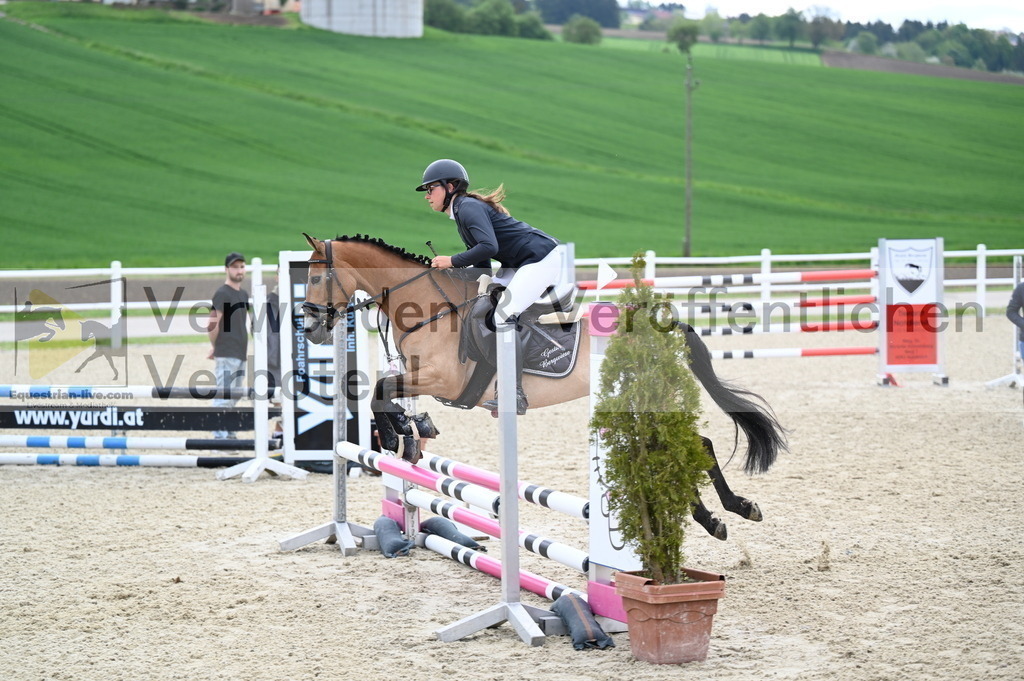 DSC_0418 | equestrian-live-com