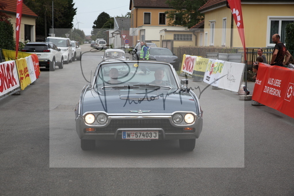 IMG_5984 | Gerhard Witt