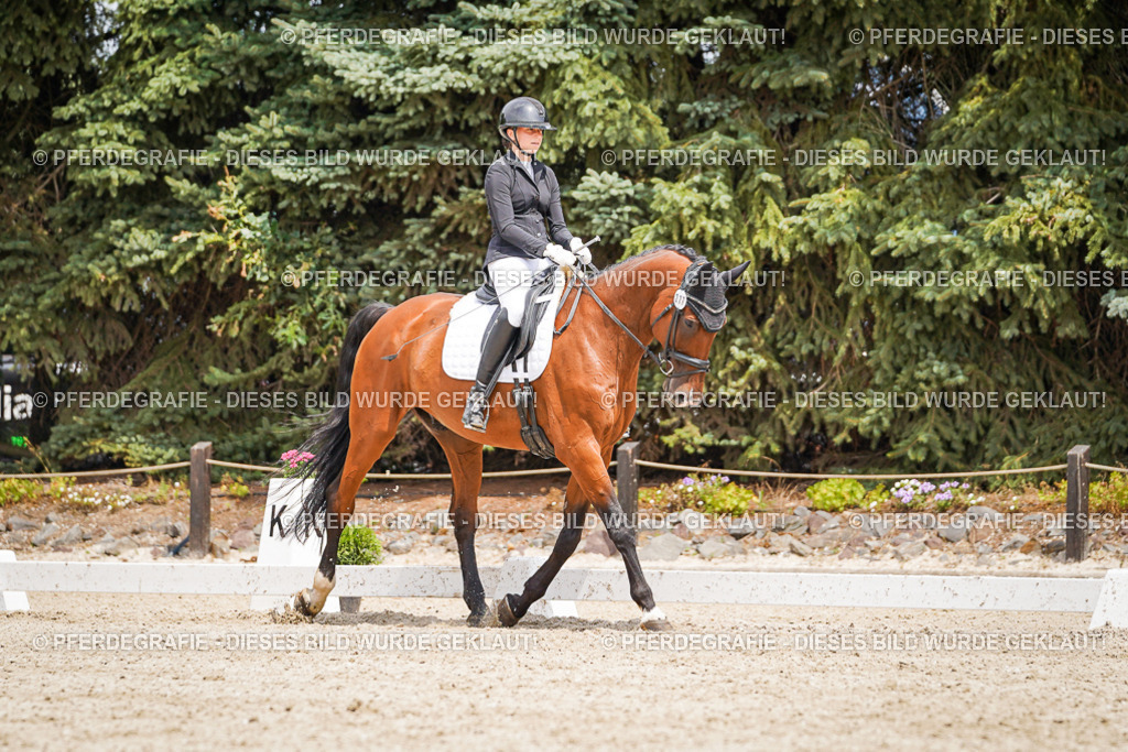 DSC03659 | Pferdegrafie