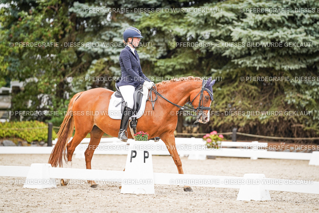 DSC07047 | Pferdegrafie