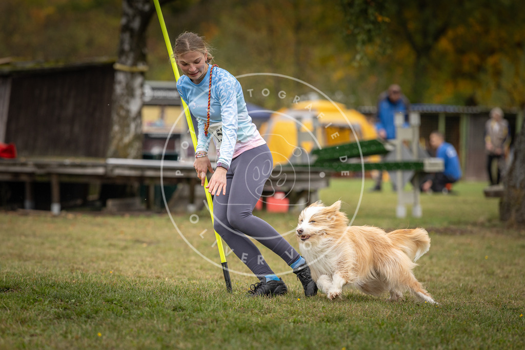 Pfotenfotografie_DV3A4919 | Hundefotografie, Tierfotograf, Pfotenfotografie, Fotoshooting Hund, Hunde Portrait, Hundesport, Hundeportraits, Heideshooting, Hunde, Sportfotograf, Hundefotograf, Turnierhundsport, THS,  - Realisiert mit Pictrs.com