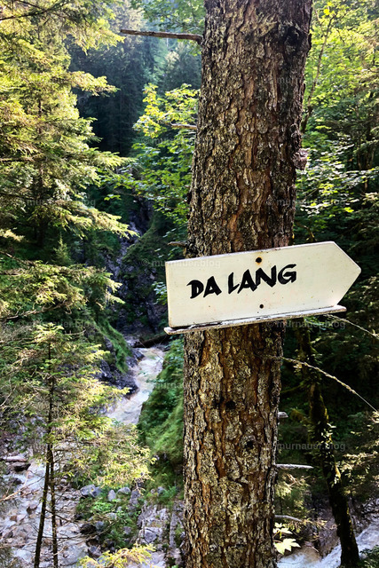 Da Lang Wegweiser | Auf dem Weg zum Kienjoch in den Ammergauer Alpen.


(Das Wasserzeichen wird nach Kauf entfernt.) - Realisiert mit Pictrs.com