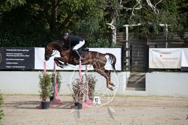 2B4A1314 | pixelfaenger - Realisiert mit Pictrs.com