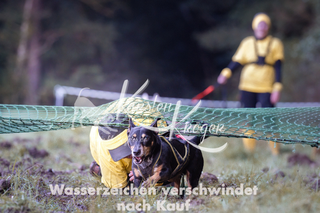 0840_ZZ90557 | kk-dogfotos