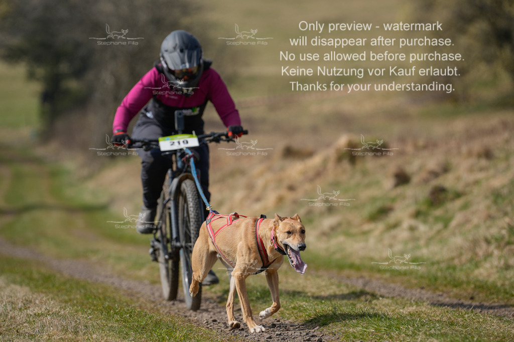 Bike_Lang-292 | stephaniefillaphotographie - Realisiert mit Pictrs.com