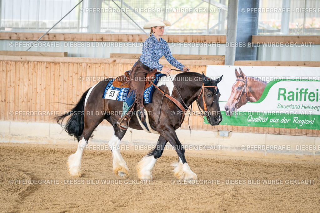 DSC02305 | Pferdegrafie