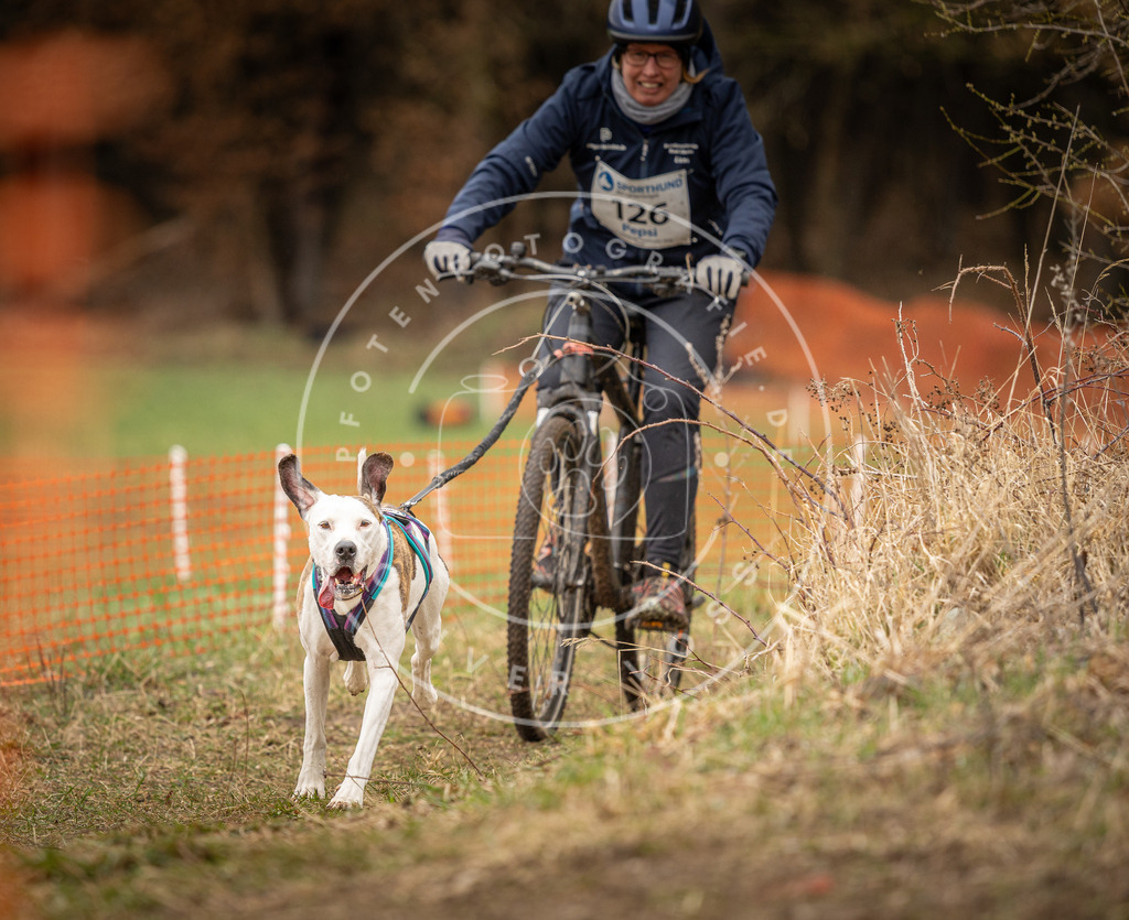 DV3A1666 | Hundefotografie, Tierfotograf, Pfotenfotografie, Fotoshooting Hund, Hunde Portrait, Hundesport, Hundeportraits, Heideshooting, Hunde, Sportfotograf, Hundefotograf, Turnierhundsport, THS,  - Realisiert mit Pictrs.com