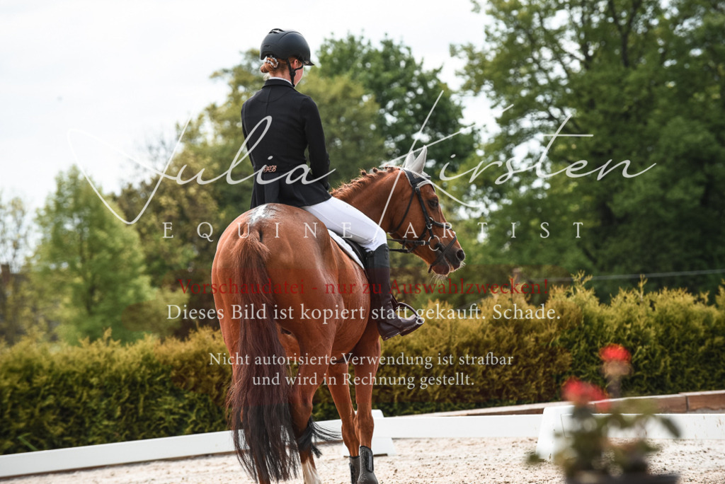 20230518_JK-Röhrsdorf-10-151 | Pferde- und Turnierfotografie in Westsachsen. Pferdeportraits, Auftragszeichnungen und intuitive Kunst.