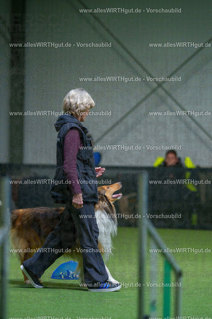 7R502152 | Professionelle Tierfotografie in Mönchengladbach von Daniel Wirth (allesWIRTHgut). Liebevolle & natürliche Bilder von Hunden & Katzen für unvergessliche Erinnerungen.