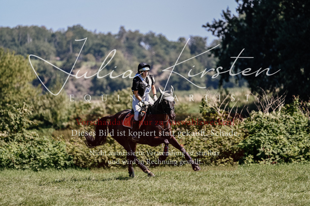 DSC_1807 | Pferde- und Turnierfotografie in Westsachsen. Pferdeportraits, Auftragszeichnungen und intuitive Kunst.