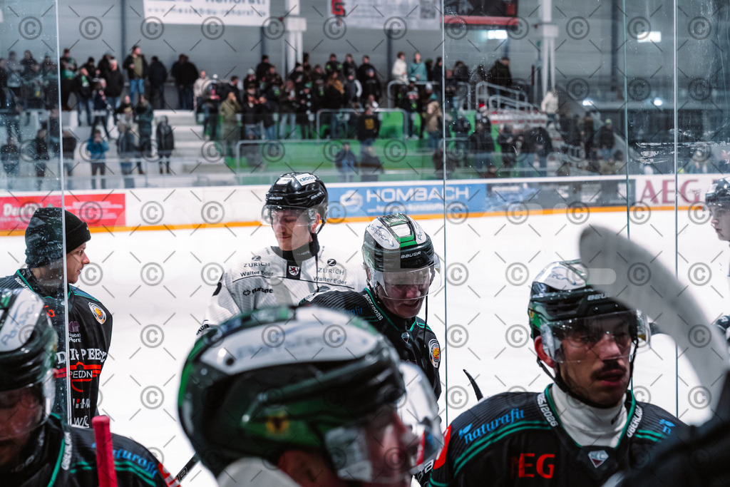 Alligators_vs_Passau_03_12_2025-39 | Höchstadt Alligators Fotogalerie: Eishockey-Action aus Franken. Professionelle Spielfotos, Portraits & Stadionbilder zum Download. Jetzt entdecken! - Realisiert mit Pictrs.com