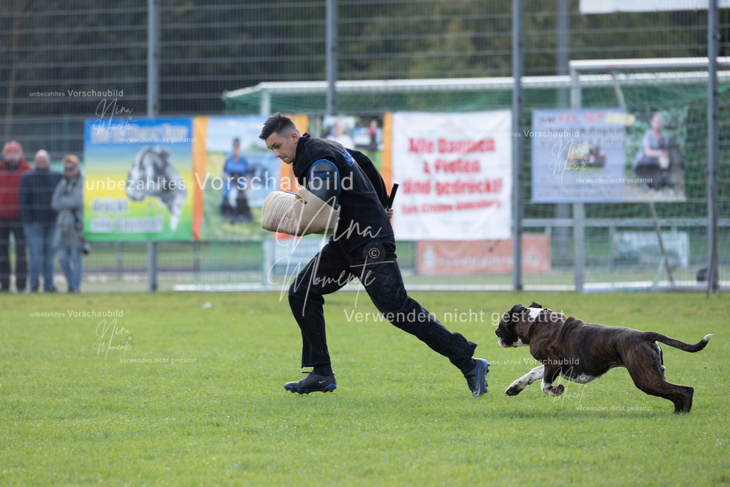 _16A6489 | Einzigartige Fotos von Hunden & Menschen –Actionfotos, Portraits, Vereinsaufnahmen & Paarshootings – authentisch, lebendig & mit Herz.