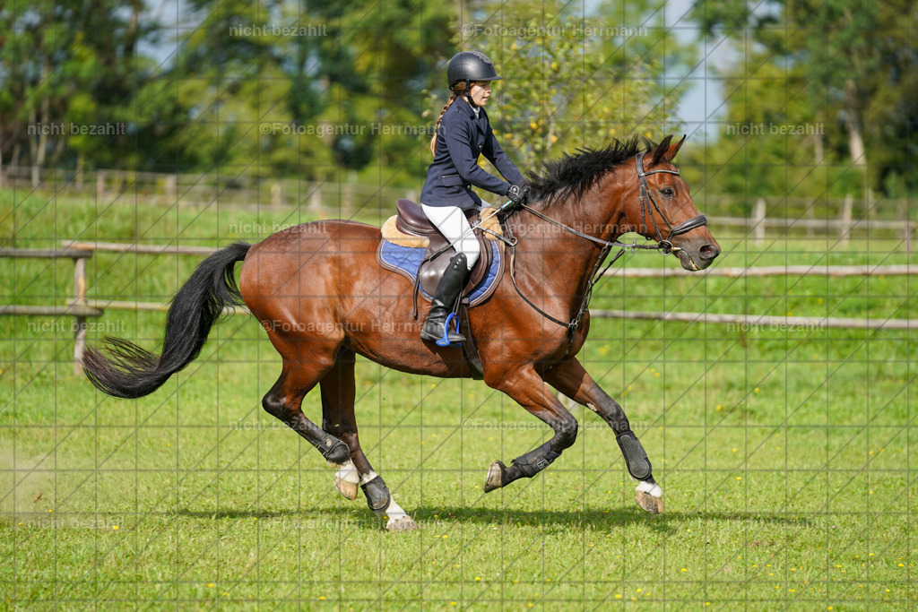 20230917-FAH09213 | Landsberg am Lech, 2023, Kaufbeuren, Kempten, Allgäu, Turnierfotografen Bayern, Fotoagentur Herrmann, Turnierbilder, Reitsport Fotos, Pferdefotograf, Augsburg, Bad Tölz, Dachau, Karlsfeld, Memmingen, Buchloe, Schwabmünchen