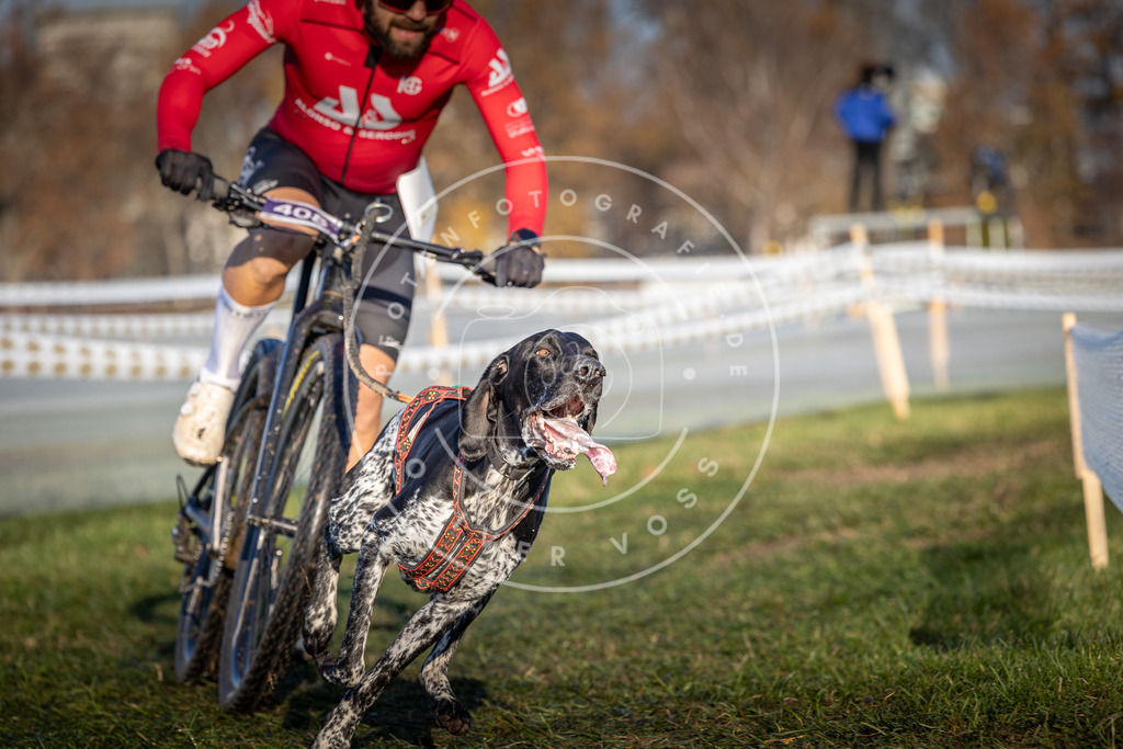 CaniXpix_0L8A4029 | Hundefotografie, Tierfotograf, Pfotenfotografie, Fotoshooting Hund, Hunde Portrait, Hundesport, Hundeportraits, Heideshooting, Hunde, Sportfotograf, Hundefotograf, Turnierhundsport, THS,  - Realisiert mit Pictrs.com