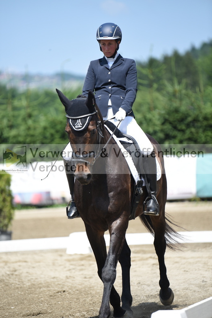 DSC_8947 | equestrian-live-com