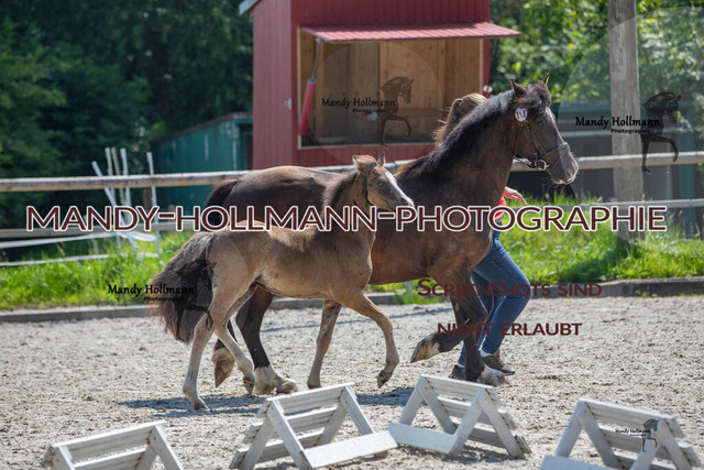 IMG_1528 | mandyhollmannphotographie