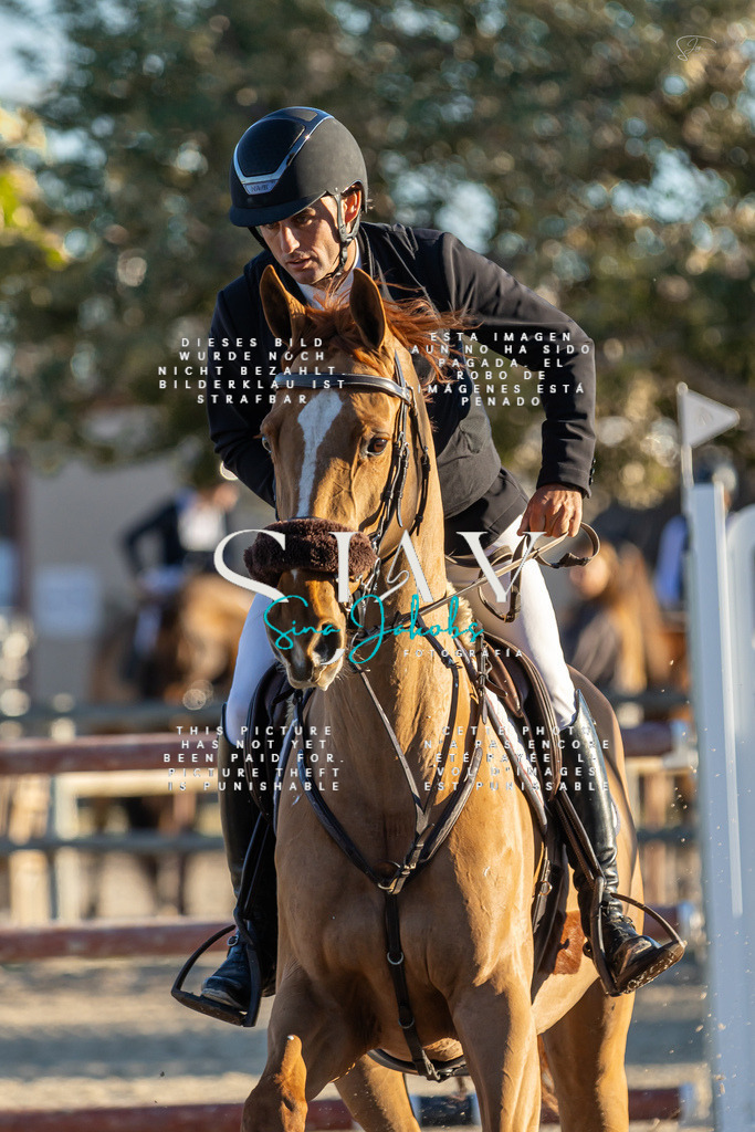 IMG_2667 | s-jay-photography - Realisiert mit Pictrs.com