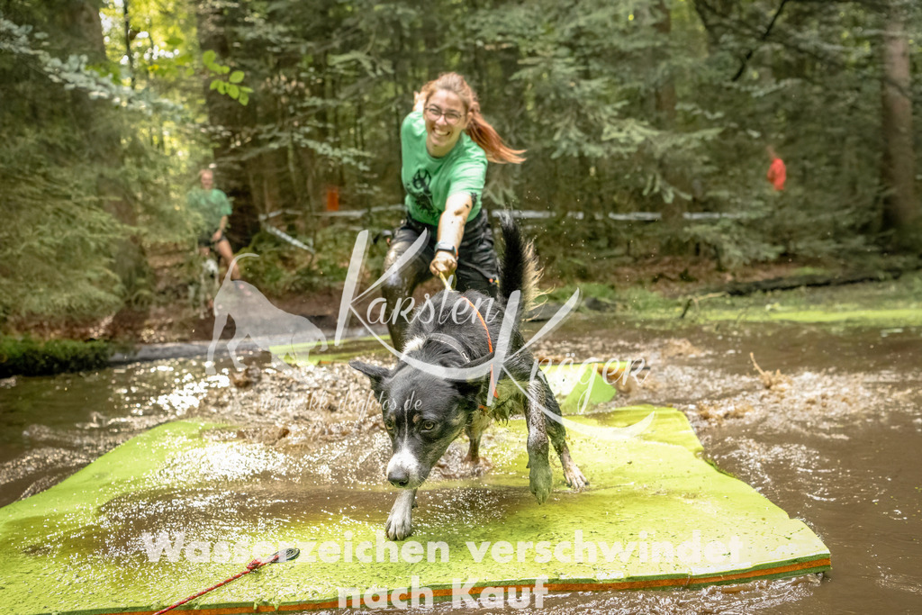 1411_ZZ91381-Bearbeitet | kk-dogfotos
