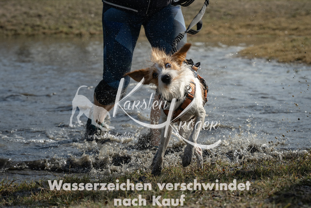 1322_ZZ95949 | kk-dogfotos