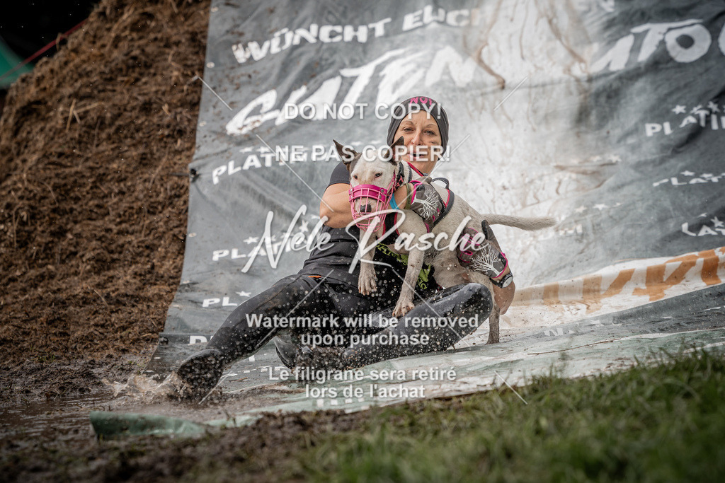 nelerasche_Wingst_Sa1300-1330_144 | nelerasche