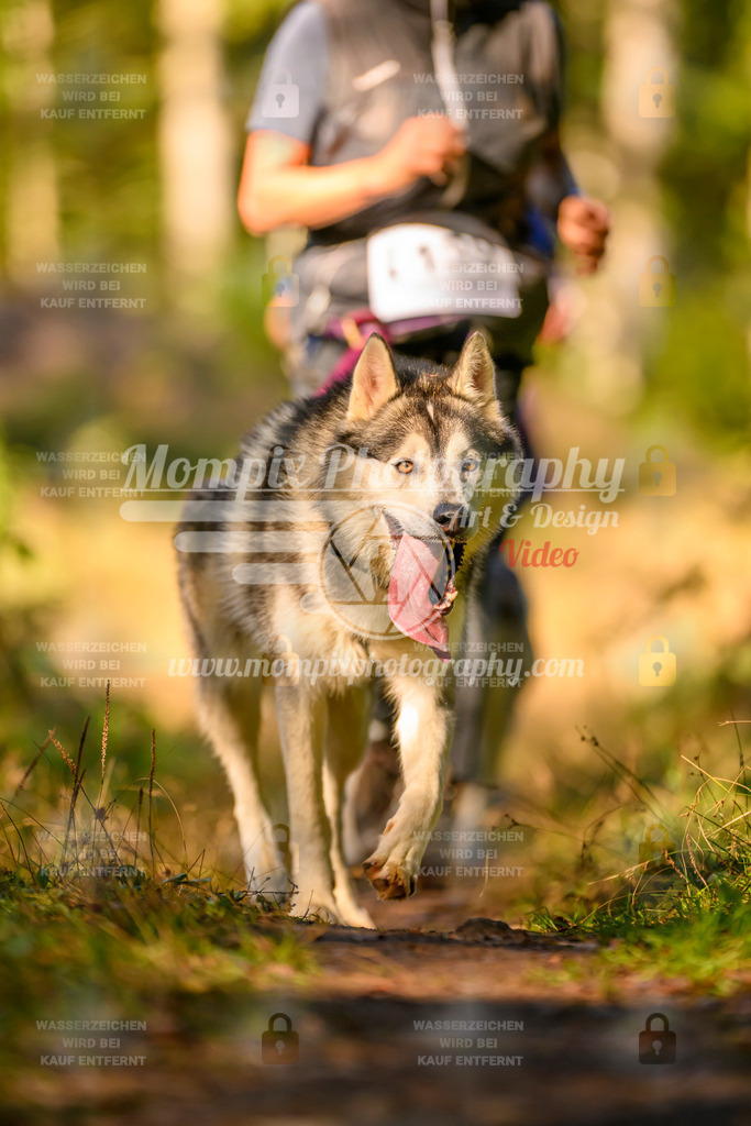 MompixPhotography_Yens2025_B3-66 | PayLife