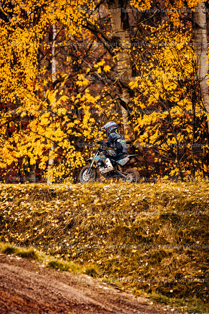 E68A4556 | blick_win_kel