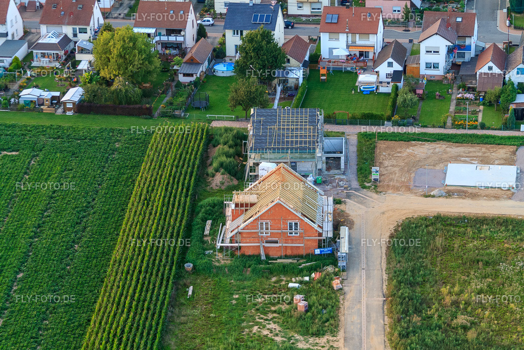 Kastanienweg | Luftbild: Kastanienweg in Steinweiler im Bundesland Rheinland-Pfalz in Deutschland. Foto: IMG_43923.jpg vom 02.08.2011 durch Werner Riehm/FLY-FOTO.de - Realisiert mit Pictrs.com