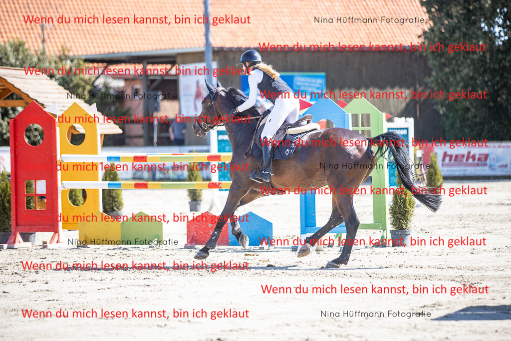 BK1A6806 | Turnierbilder Turnierfotos Nina Hüffmann Turnierfotografie Pferdefotografie Tierzeichnung Haustierzeichnung Pferdezeichnung Hundezeichnung Videograf  - Realisiert mit Pictrs.com