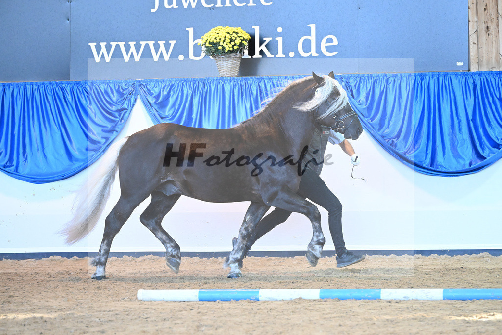 Kat-Nr. 114 Markgraf_HLG Marbach_53220803 | hf-fotografie - Realizzato con Pictrs.com
