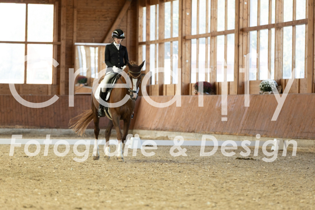 IMG_5204 | Creatify Fotografie