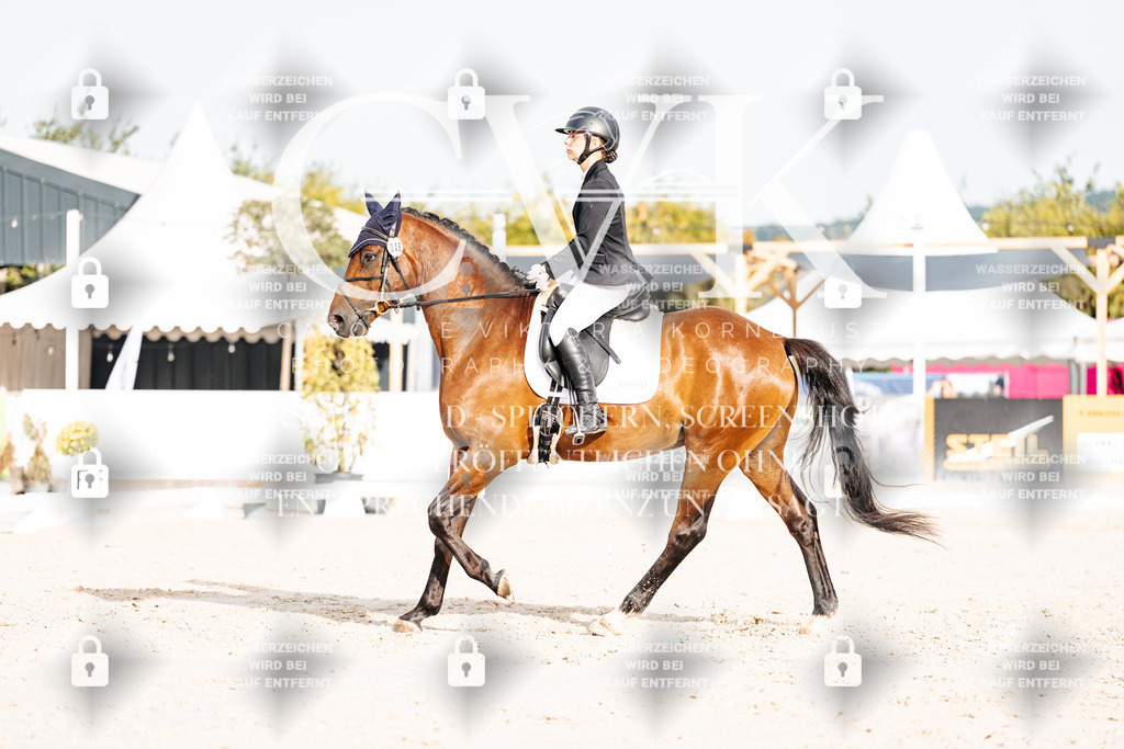 CK904098 | Turnierfotografie Pferdefotografie Trier Rheinland-Pfalz Pferdesport Reitsport Tierfotografie Sportfotografie Pferdevideo Pferdevideografie Equestrianvideography equestrianphotography  - Realisiert mit Pictrs.com
