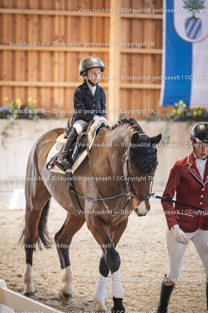 _D5A5277 | Emotionale Pferde- & People-Fotografie rund um Heidelberg, Leimen & Umgebung. Natürliche Fotos von Pferd, Mensch & Familie. Jetzt Termin sichern!