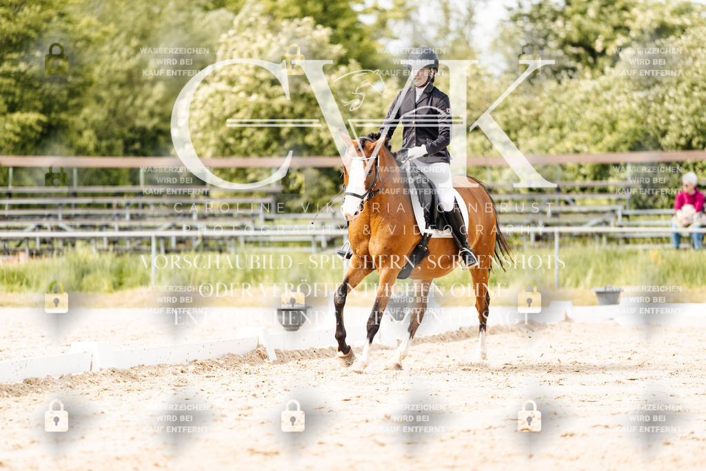 CK901270 | Turnierfotografie Pferdefotografie Trier Rheinland-Pfalz Pferdesport Reitsport Tierfotografie Sportfotografie Pferdevideo Pferdevideografie Equestrianvideography equestrianphotography  - Realisiert mit Pictrs.com