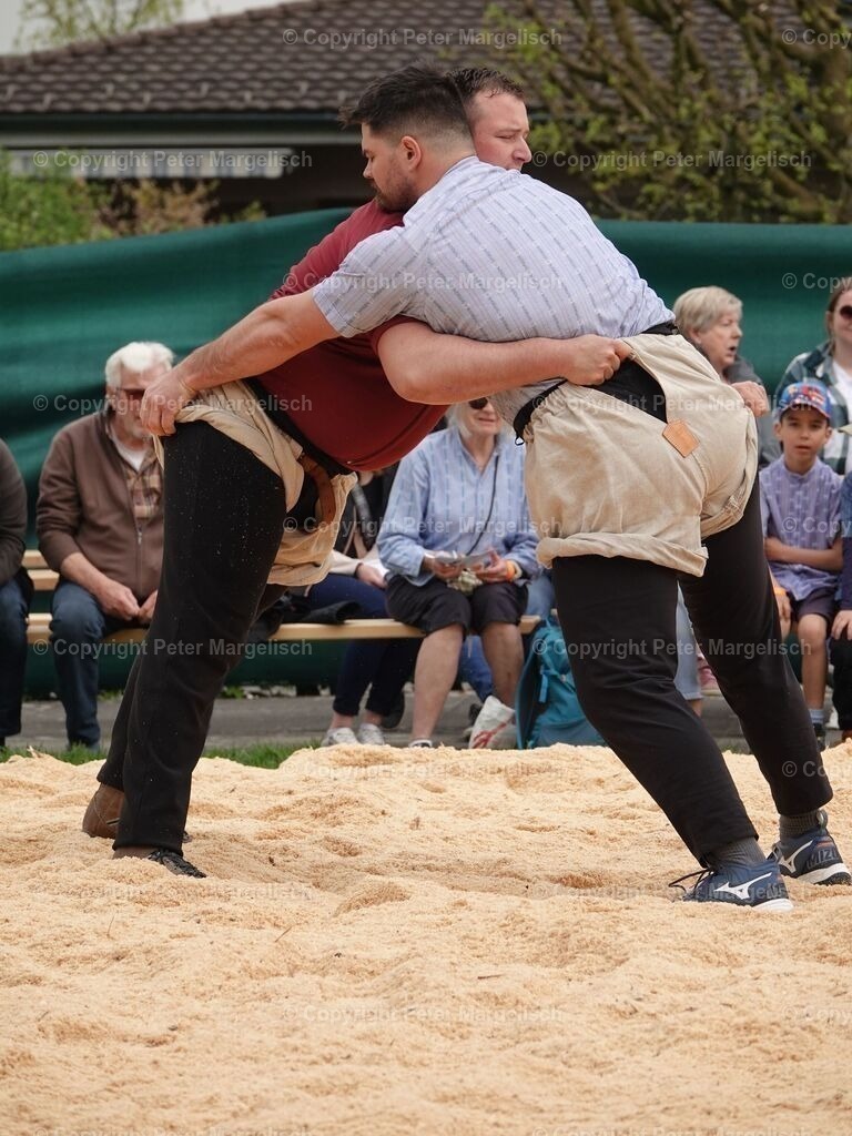 k-DSC06175 | Schwingen - Realisiert mit Pictrs.com