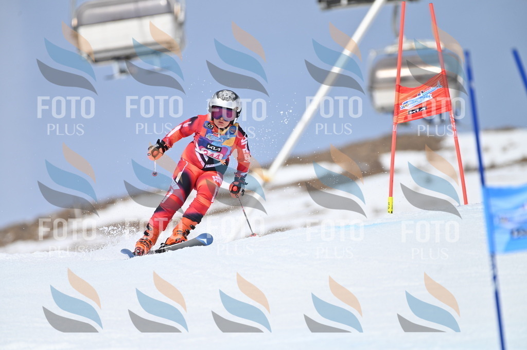 BGV_3513 | holidayphoto