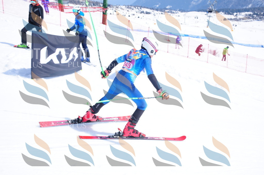 DSC_7062 | holidayphoto