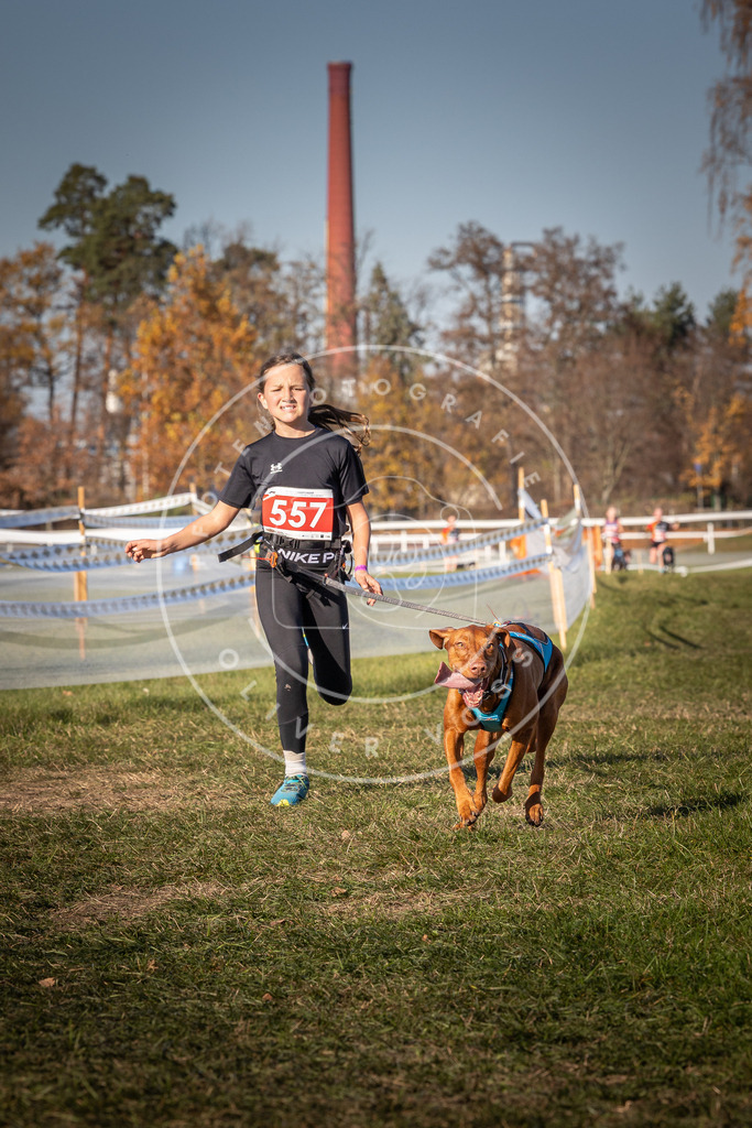 CaniXpix_0L8A7809 | Hundefotografie, Tierfotograf, Pfotenfotografie, Fotoshooting Hund, Hunde Portrait, Hundesport, Hundeportraits, Heideshooting, Hunde, Sportfotograf, Hundefotograf, Turnierhundsport, THS,  - Realisiert mit Pictrs.com