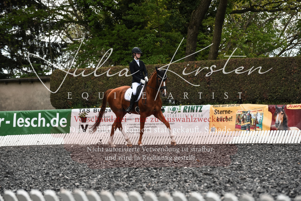 20230514_JK-Röhrsdorf-24-115 | Pferde- und Turnierfotografie in Westsachsen. Pferdeportraits, Auftragszeichnungen und intuitive Kunst.
