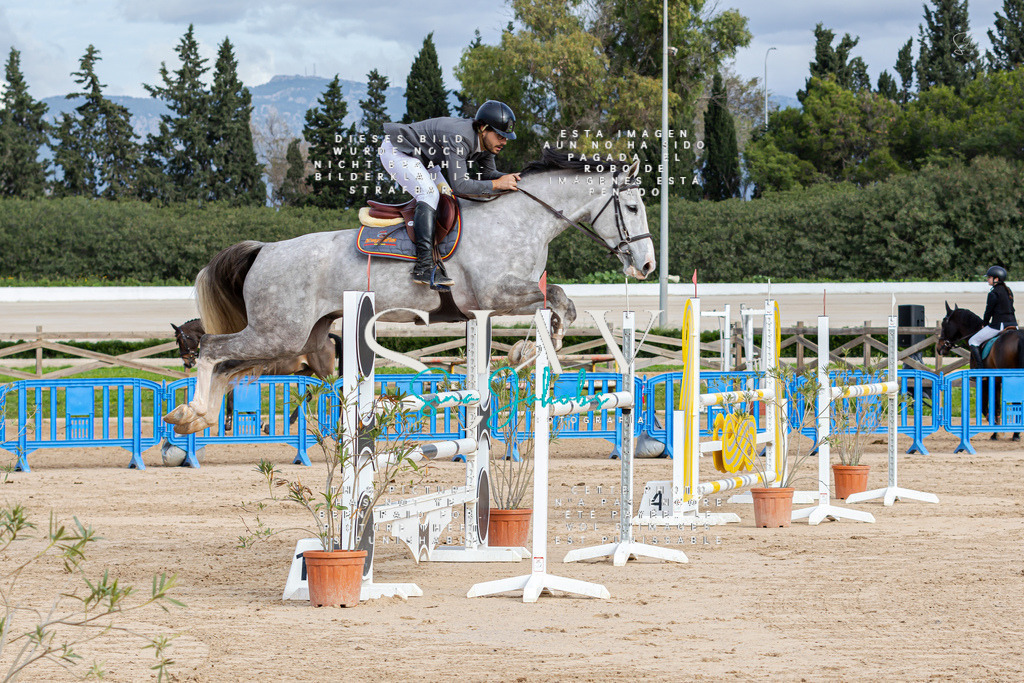 IMG_2588 | s-jay-photography - Realisiert mit Pictrs.com