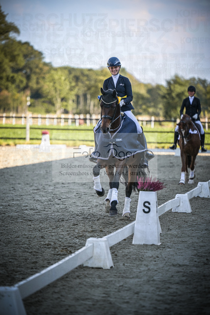 DOS_0087 | Entdecke hochwertige Reitturnierfotos von Foto Oger. Professionell, emotional und authentisch – jetzt Lieblingsmomente im Shop bestellen.Deutschlandweite Turnierfotografie. - Realisiert mit Pictrs.com