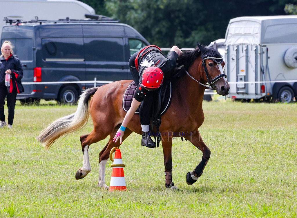 1B3A2503 | Reitsport Reiten