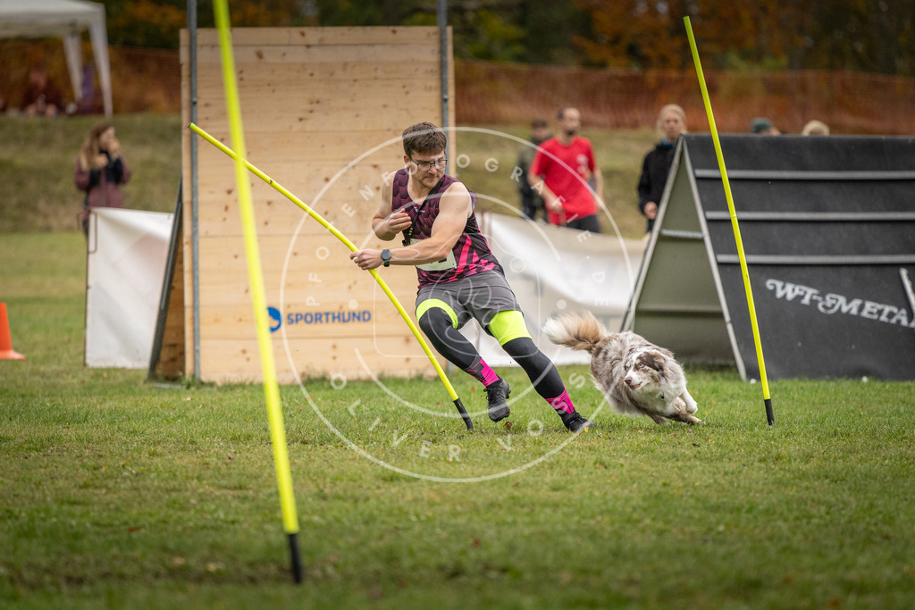 Pfotenfotografie_DV3A9758 | Hundefotografie, Tierfotograf, Pfotenfotografie, Fotoshooting Hund, Hunde Portrait, Hundesport, Hundeportraits, Heideshooting, Hunde, Sportfotograf, Hundefotograf, Turnierhundsport, THS,  - Realisiert mit Pictrs.com