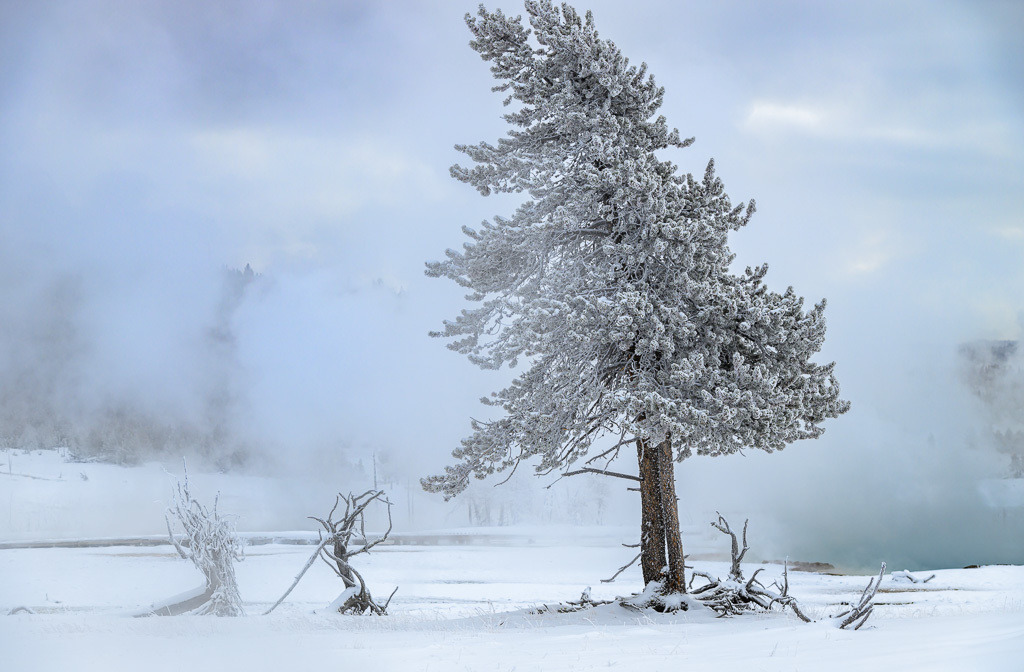 2024-076 | Firehole Basin, Biscuit Basin. - Realisiert mit Pictrs.com