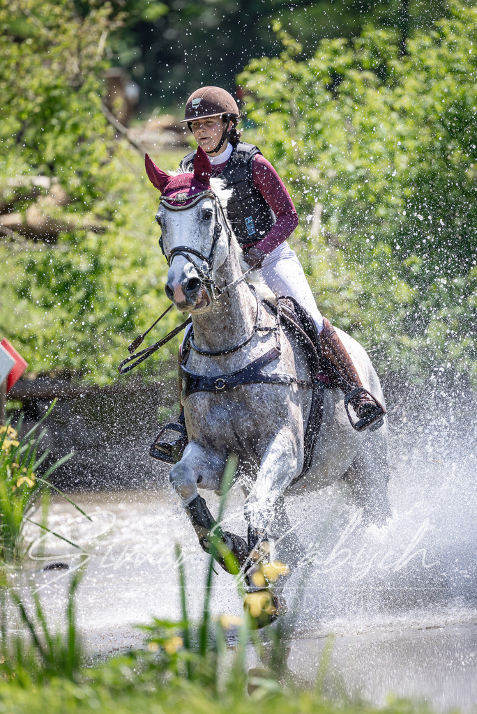 20260523-_3LI8734 | Tierfotografie Pferde, Hunde, Katzen, Haustiere.
Turnierfotografie Reitturniere, Reiten, Springreiten, Dressur in Hanau, dem Main-Kinzig-Kreis und dem Rhein-Main- Gebiet um Frankfurt