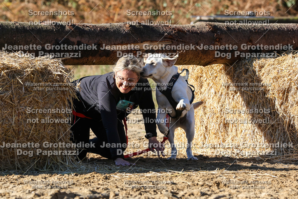 Dog Paparazzi - Strongdog 10-25-2323 | Dog Paparazzi Jeanette Grottendiek Fotografie & Videografie - Realisiert mit Pictrs.com